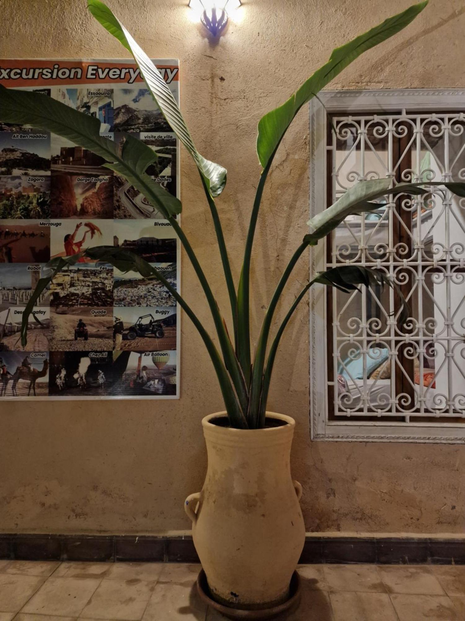 Hostel Laksour Marrakesh Extérieur photo